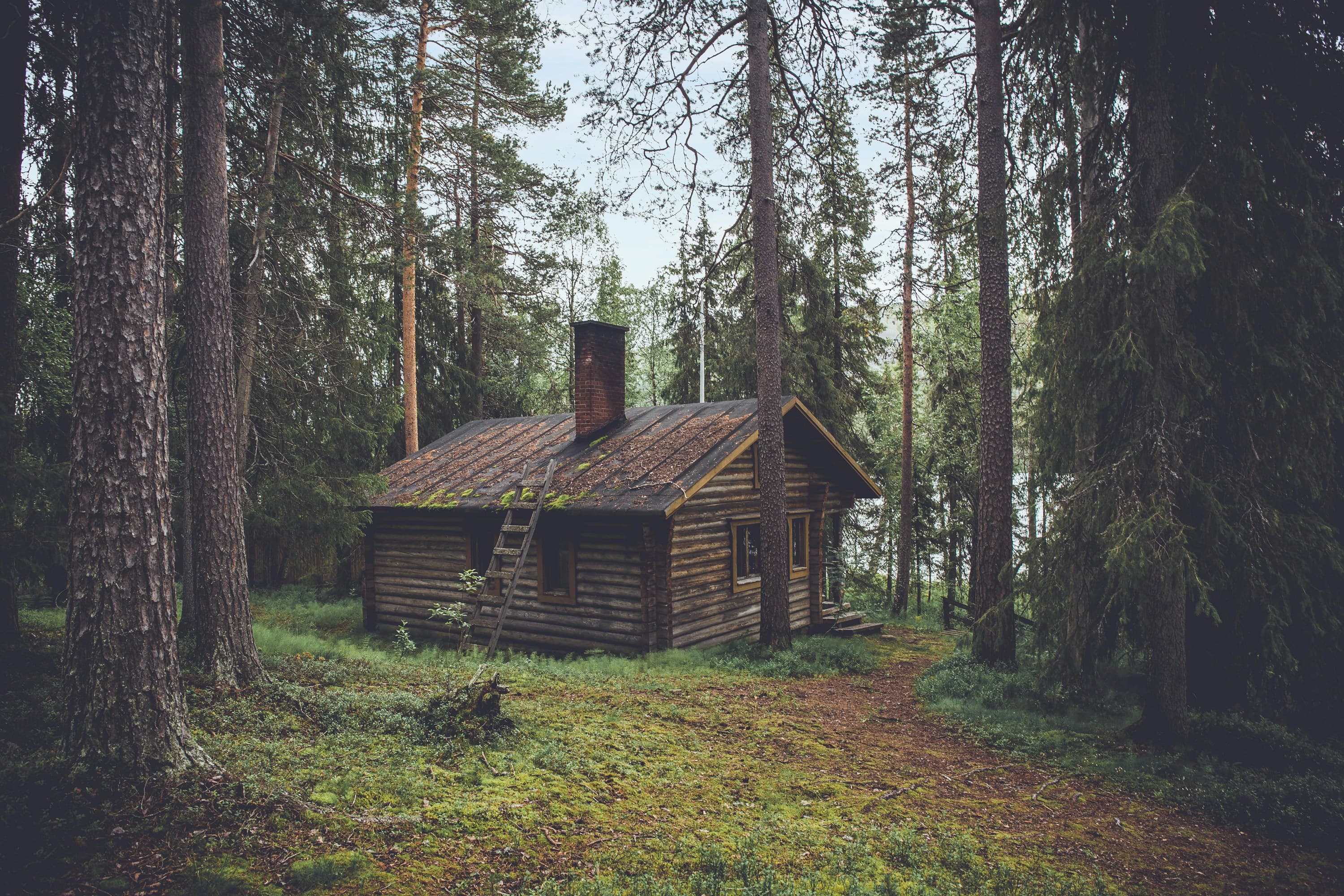 Cabin